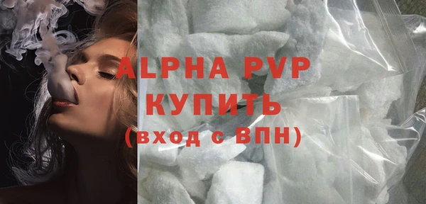 стаф Ельня