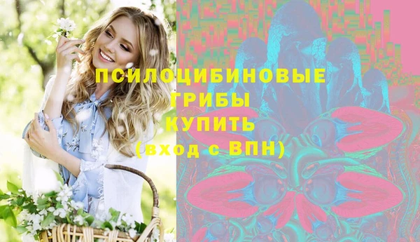 гидропоника Дмитриев