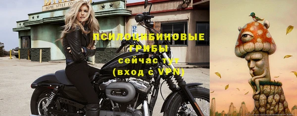 гидропоника Дмитриев
