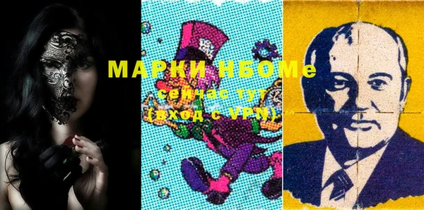 стаф Ельня