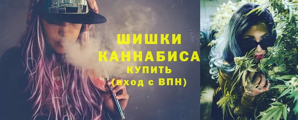 ГАЛЛЮЦИНОГЕННЫЕ ГРИБЫ Елабуга