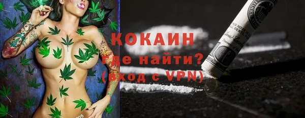гидропоника Дмитриев